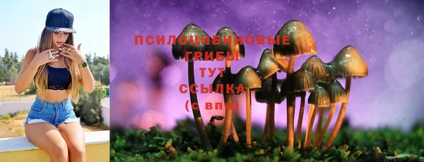 крисы Абинск