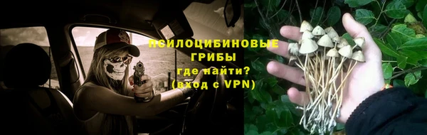 apvp Абаза