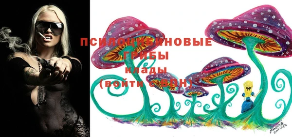 крисы Абинск