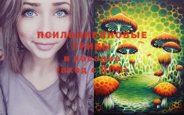 apvp Абаза