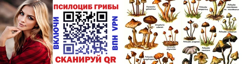 Псилоцибиновые грибы Psilocybe  ОМГ ОМГ маркетплейс  Севастополь  наркота 